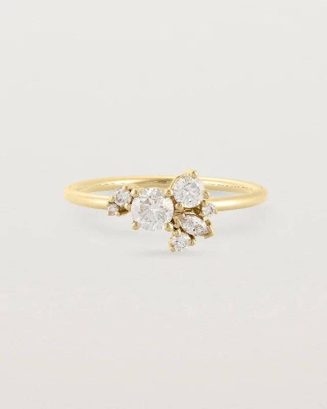 Custom Ring with Initials-Skye Cluster Ring | Diamonds